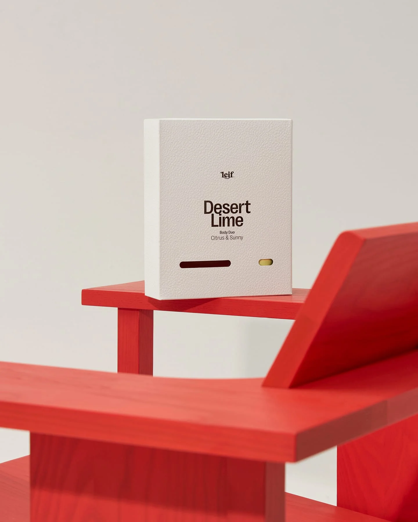 Desert Lime Body Duo - Image 3