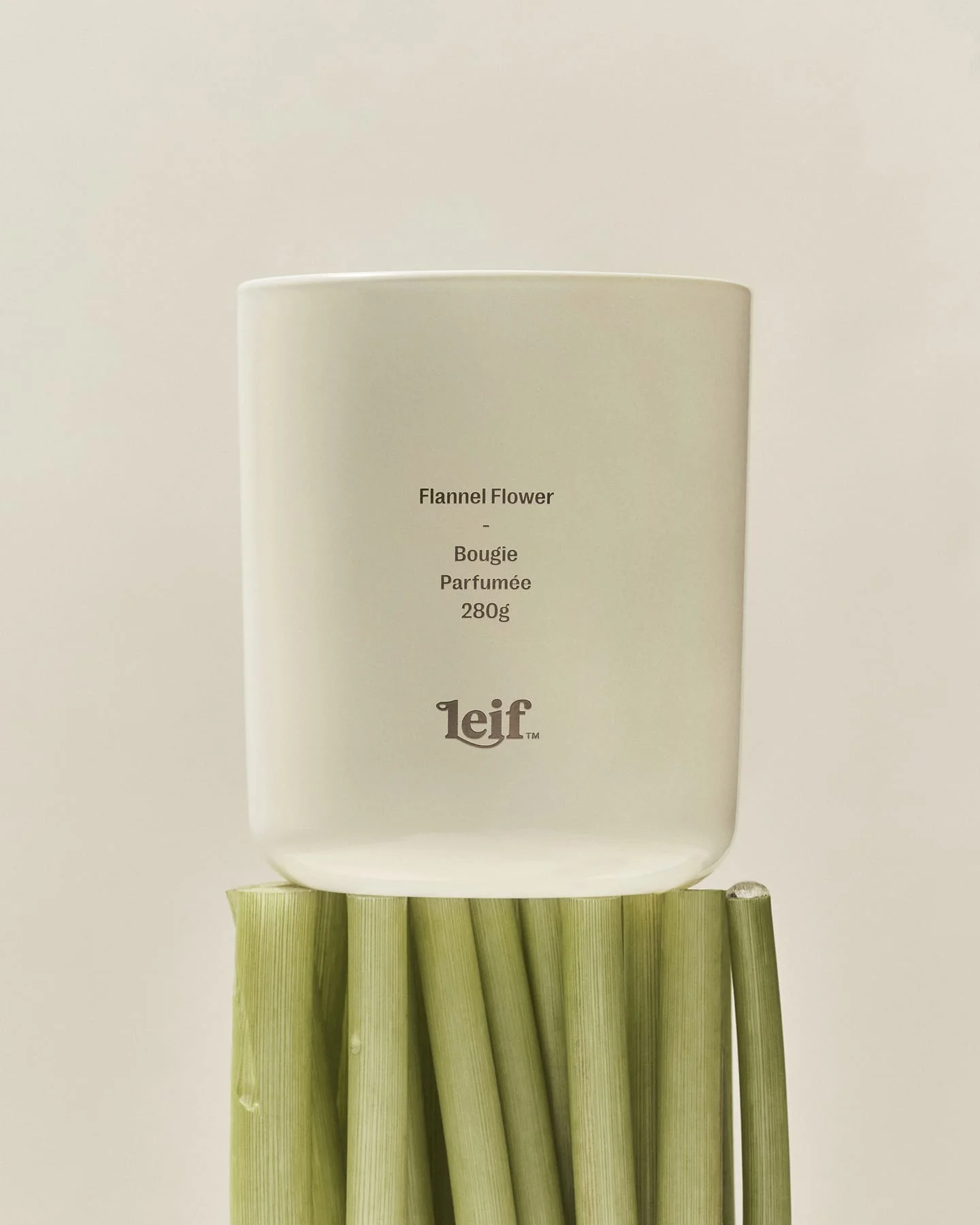 Flannel Flower Candle - Image 4