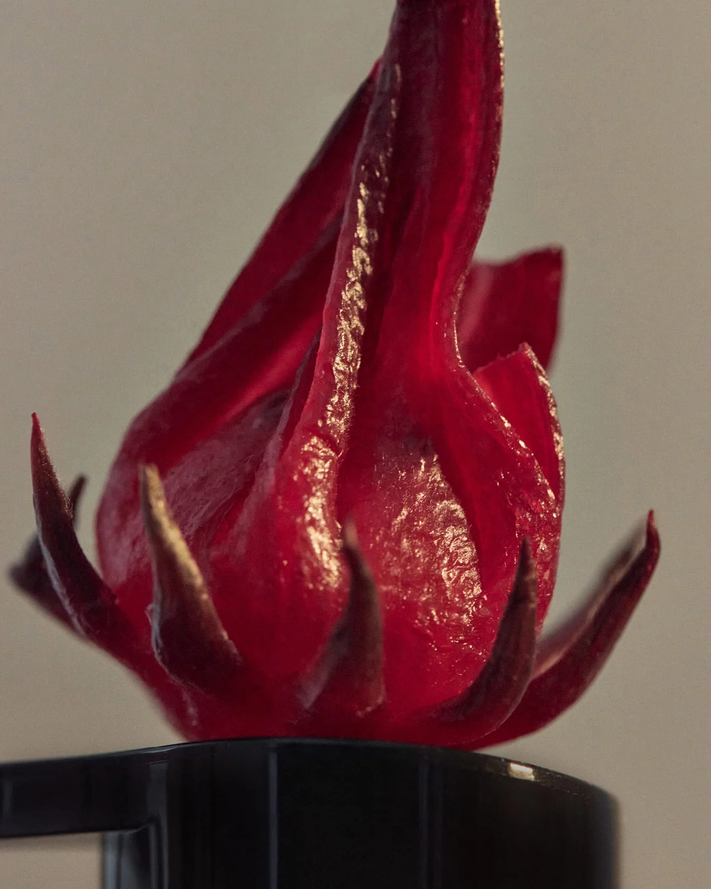 Wild Rosella Body Cleanser - Image 3